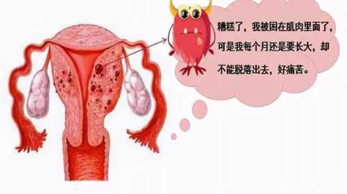 70后桂林三代试管婴儿，27天顺利“好孕”