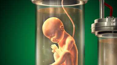 私立供卵_供卵试管后悔了_试管婴儿生化妊娠是什么意思 试管婴儿生化妊娠影响
