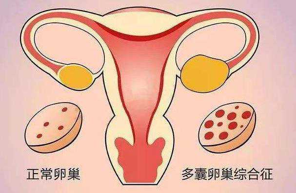 广西个人代孕电话 广西壮族自治区人民医院 ‘从b超单子看男女’