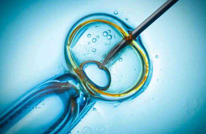 7细胞的胚胎质量怎么样，是优质胚胎吗？