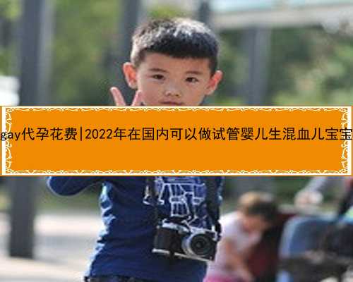 桂林gay代孕花费|2022年在国内可以做试管婴儿生混血儿宝宝吗？