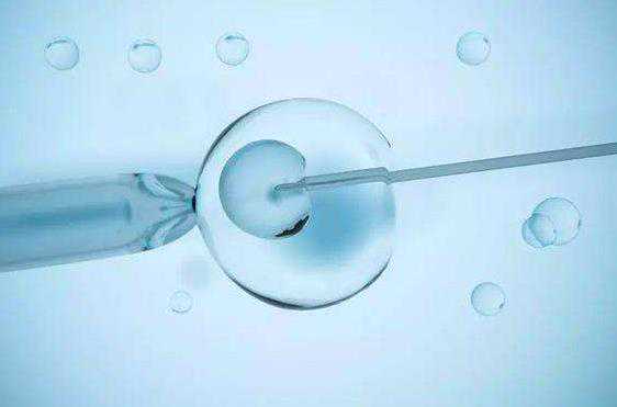 试管icsi补救后胚胎质量会变好吗？